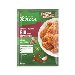 Knorr punga magica friptura de pui picant 29g